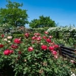 埼玉県鴻巣市 住まい鍵開け 鍵修理・錠前交換 金庫開錠 デスク鍵開け・スペアキー作成 自動車・バイク・原付・スクーターのインロック解錠 鍵紛失時の出張鍵作成に24時間対応の鍵屋