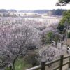 茨城県水戸市酒門町　アパートの鍵紛失　緊急鍵開け対応事例 – 鍵屋 鍵開け24